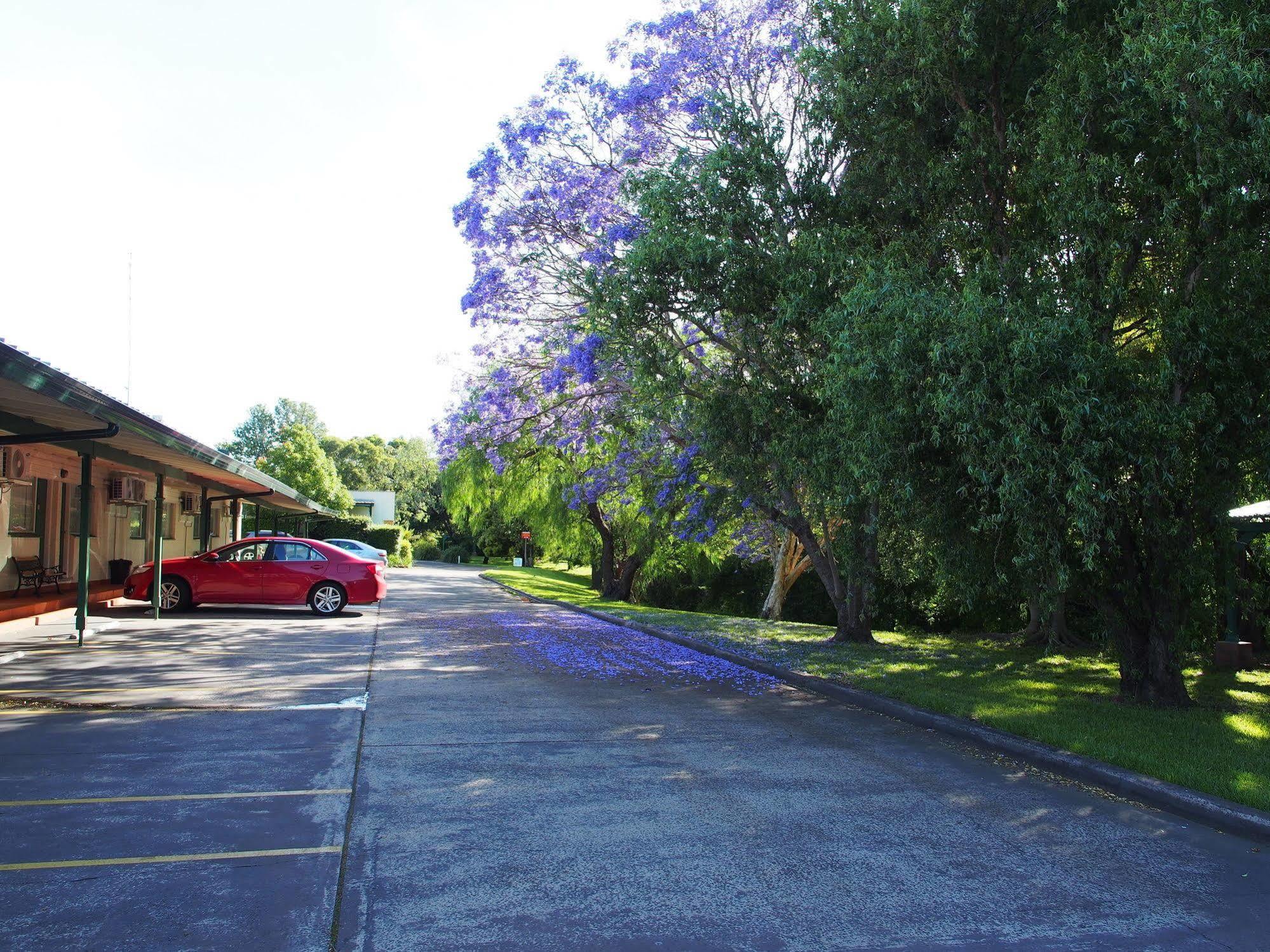 וולונגונג Solomon Inn Motel Figtree מראה חיצוני תמונה